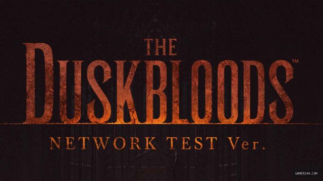 Here’s How To Join The Duskbloods Network Test