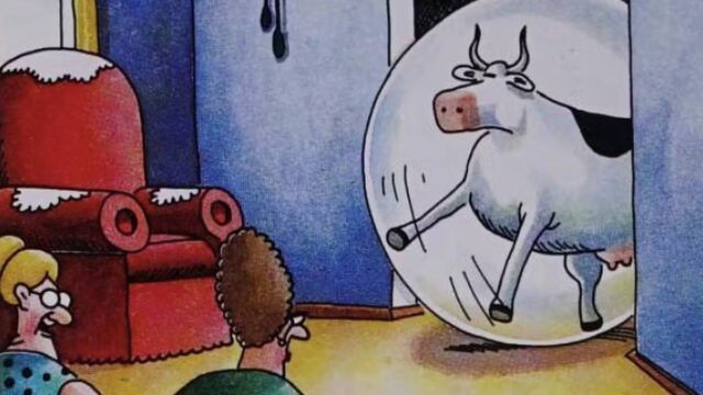 The 10 funniest Far Side comics about cows