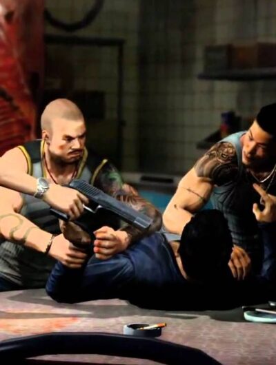 Sleeping Dogs