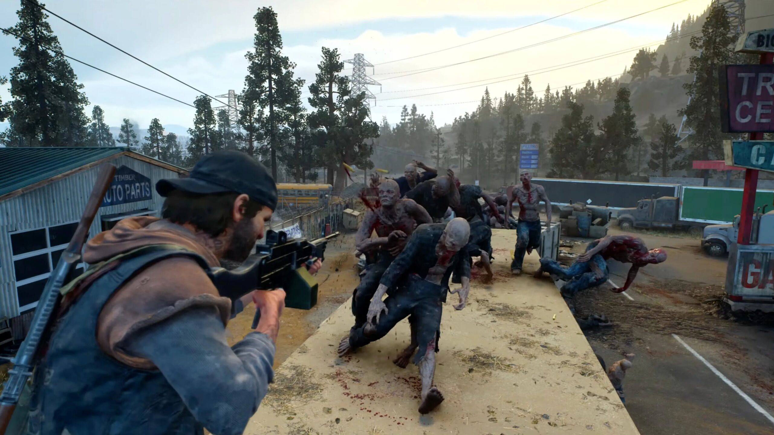 Days Gone
