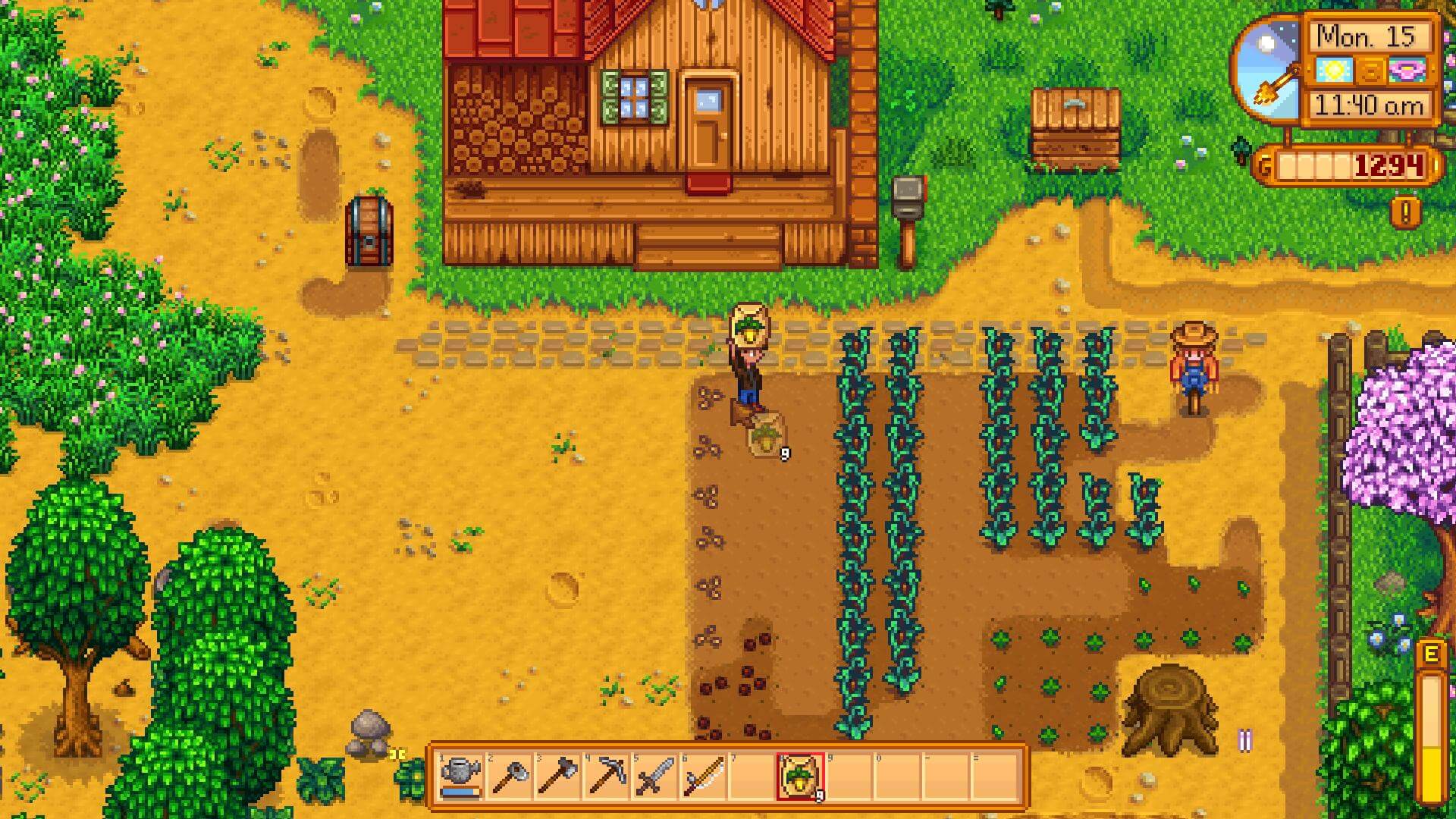 Stardew Valley