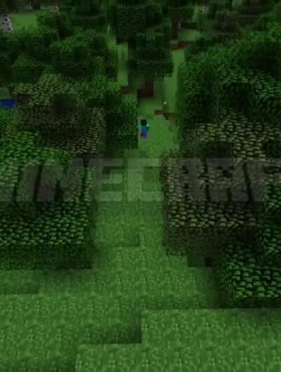 Minecraft (1.0 Release)