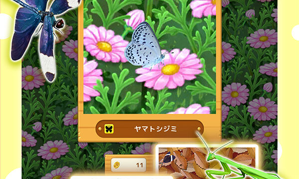 むしたたき