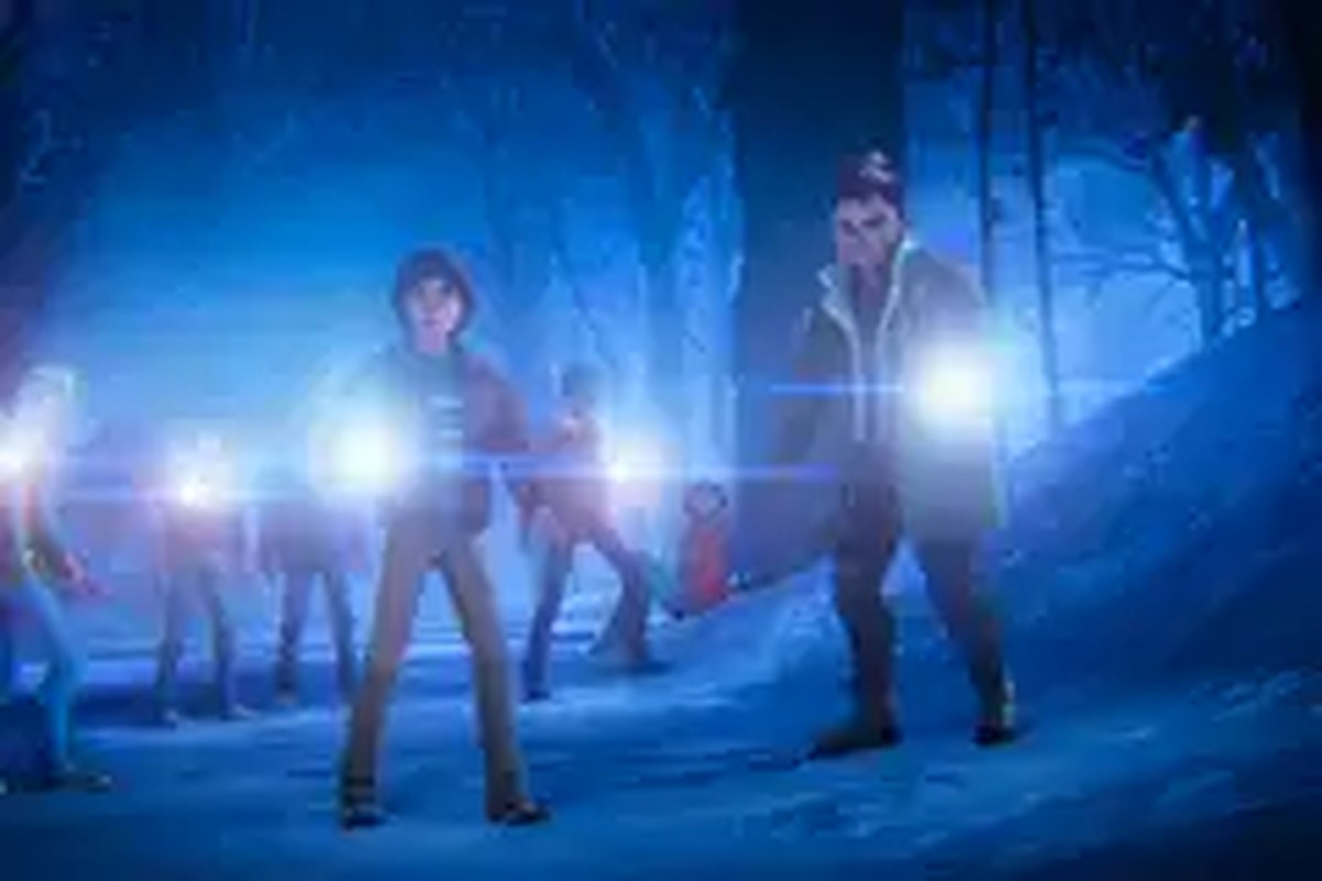 Will and Nikki stand in front of the rest of the party in the snowy forest as everyone points flashlights ahead and looks nervous