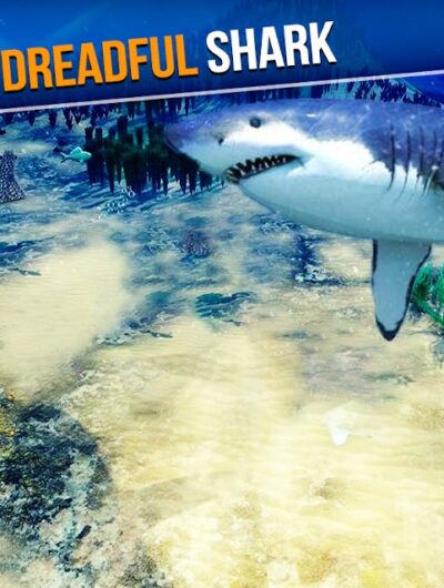 Shark Hunter