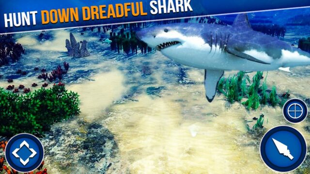 Shark Hunter