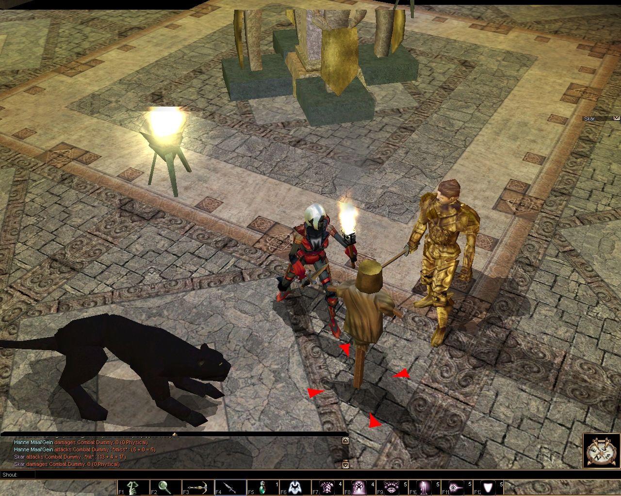 Neverwinter Nights