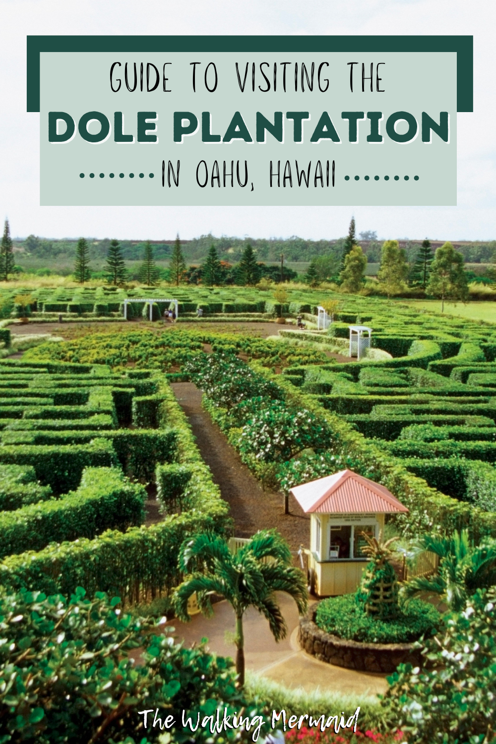 DOLE PLANTATION