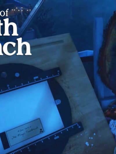 What Remains of Edith Finch