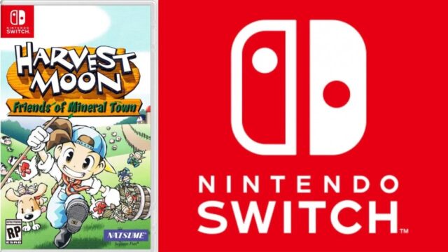 Harvest Moon: Friends of Mineral Town