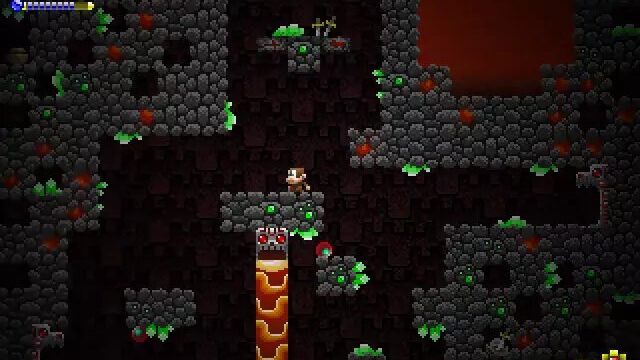Adventure Apes and the Mayan Mystery