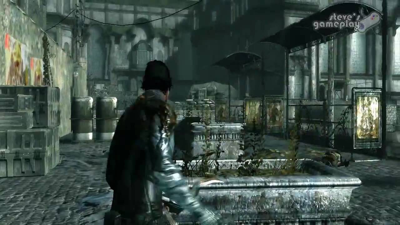 Dark Sector