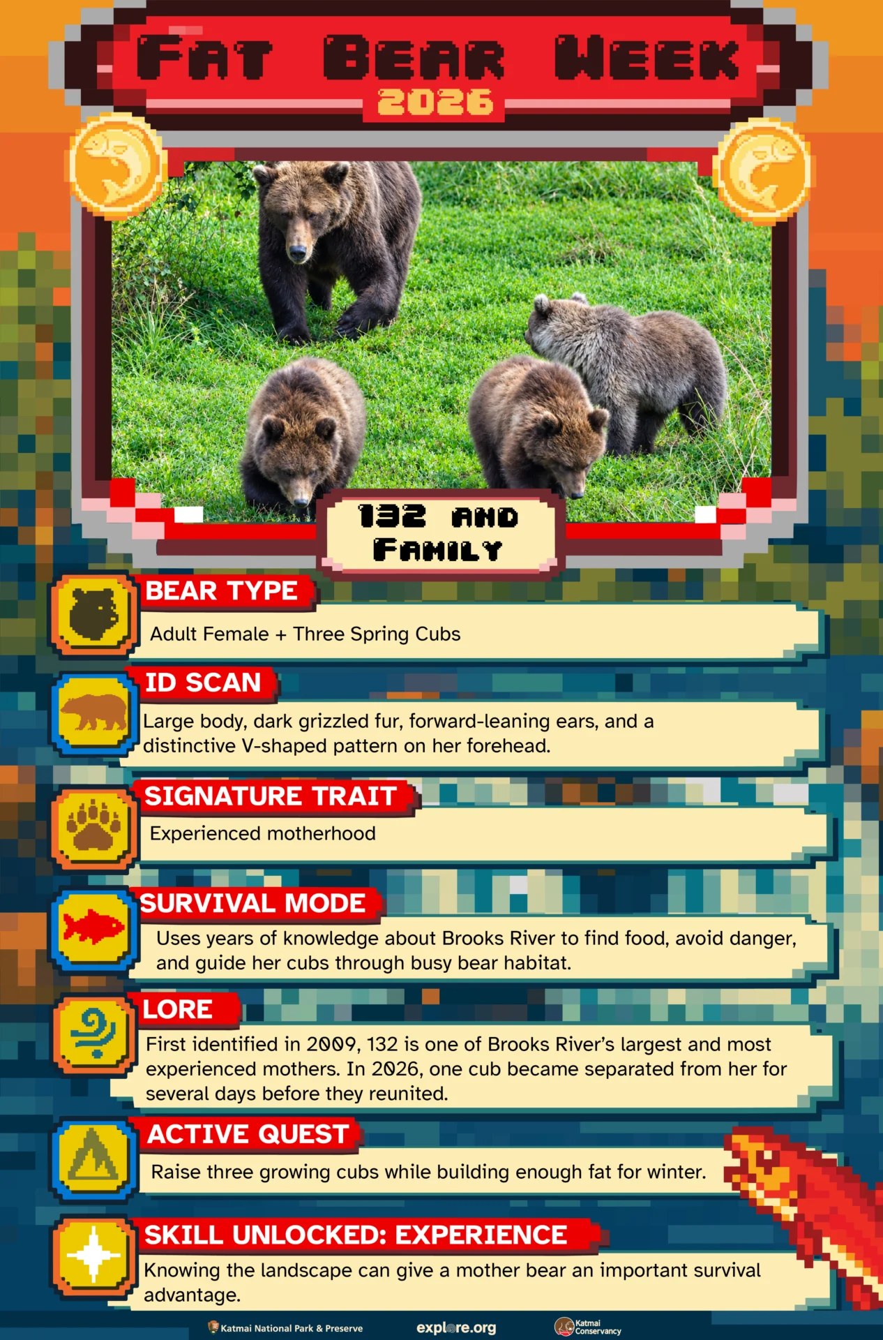 132 Family Fact Card Sara Wolman Explore