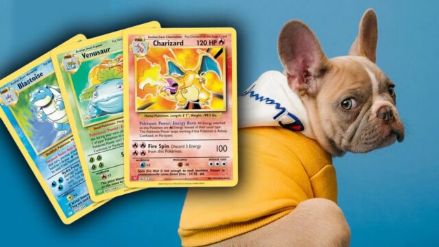 Card Collectors Offered $4,000 for French Bulldog Puppies in Pokémon Card Trade Scandal