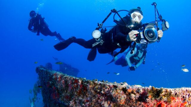 Dave the Diver Hits 10 Million Copies: How a “Not-So-Indie” Hit Became a Blueprint for Post-Launch Franchise Building