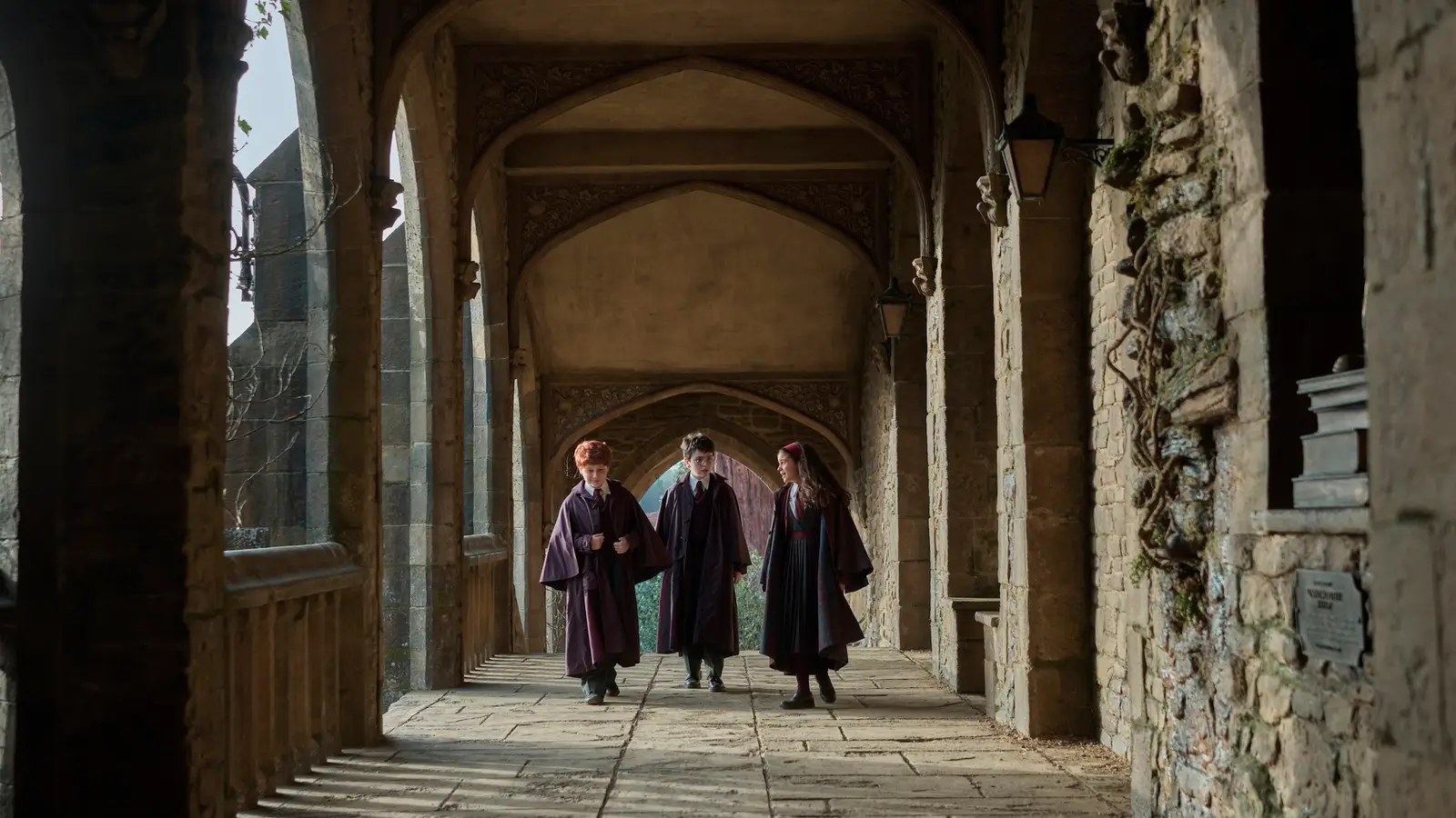HBO's Harry Potter Reveals New Dobby and Young Voldemort Replacements
