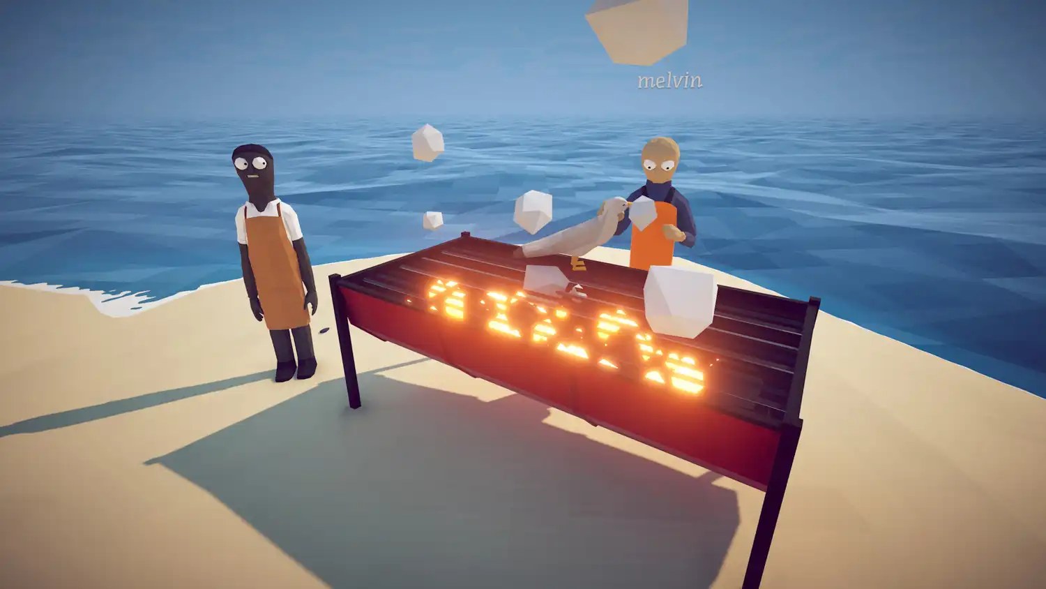 cooking a seagull on the barbecue in how to fish