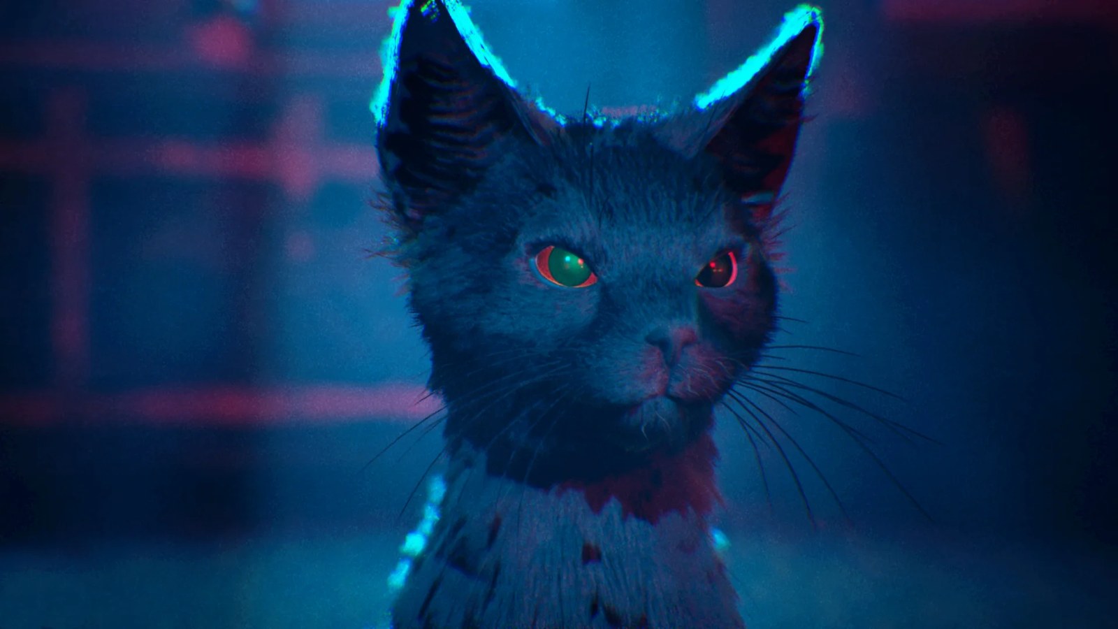 1666: Amsterdam screenshot showing witch protagonist Noa's red-eyed cat familiar.