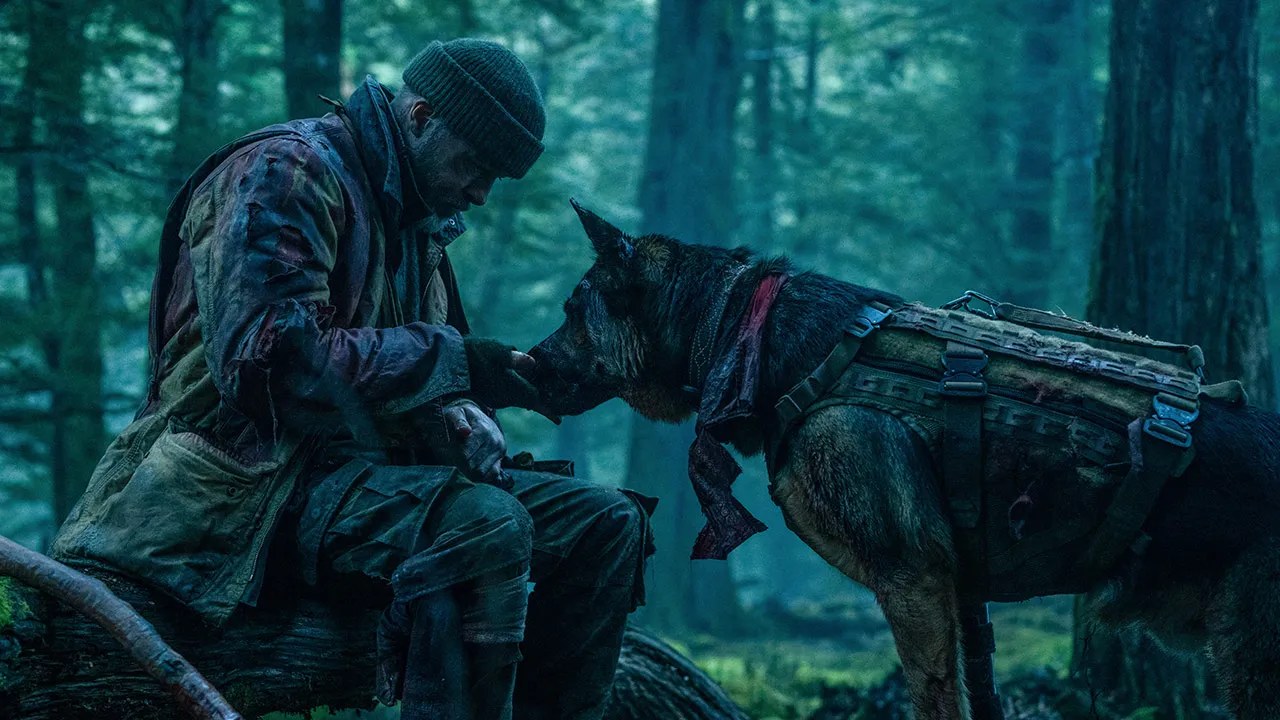 Heart of the Beast Review: Brad Pitt and His Combat Dog Go Ruffin' It in This Deeply Moving Wilderness Survival Drama