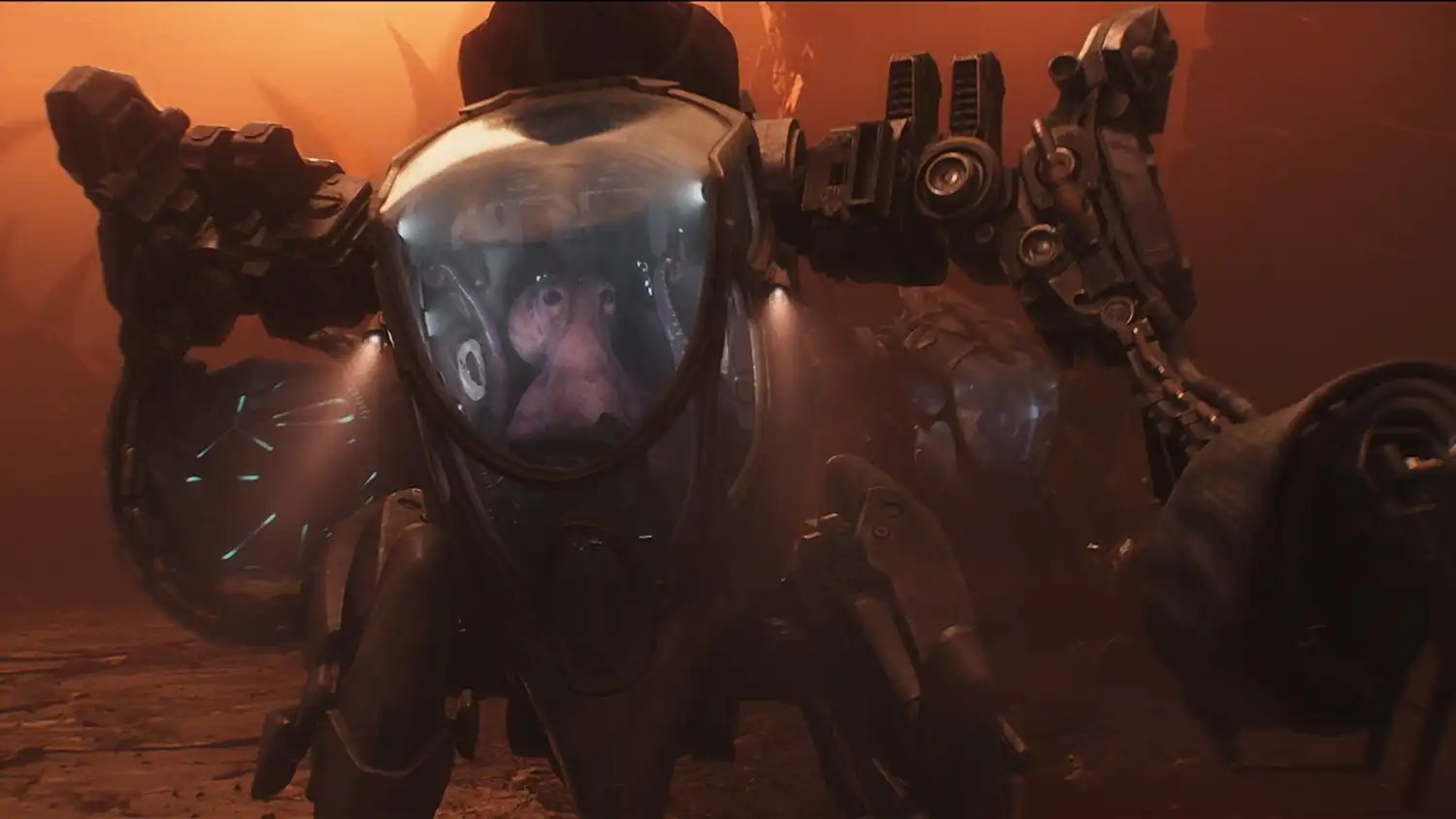 Salt looks scared, noooo, Salt, noooo in Exodus