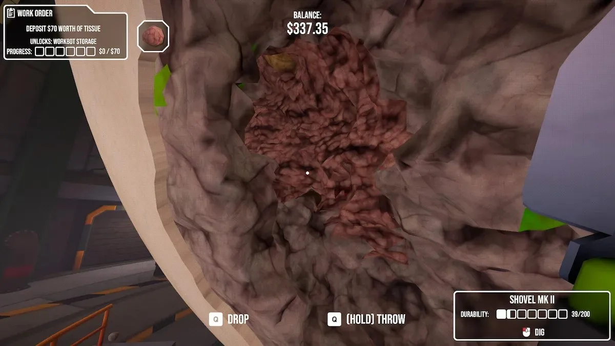 CRACK egg tissue