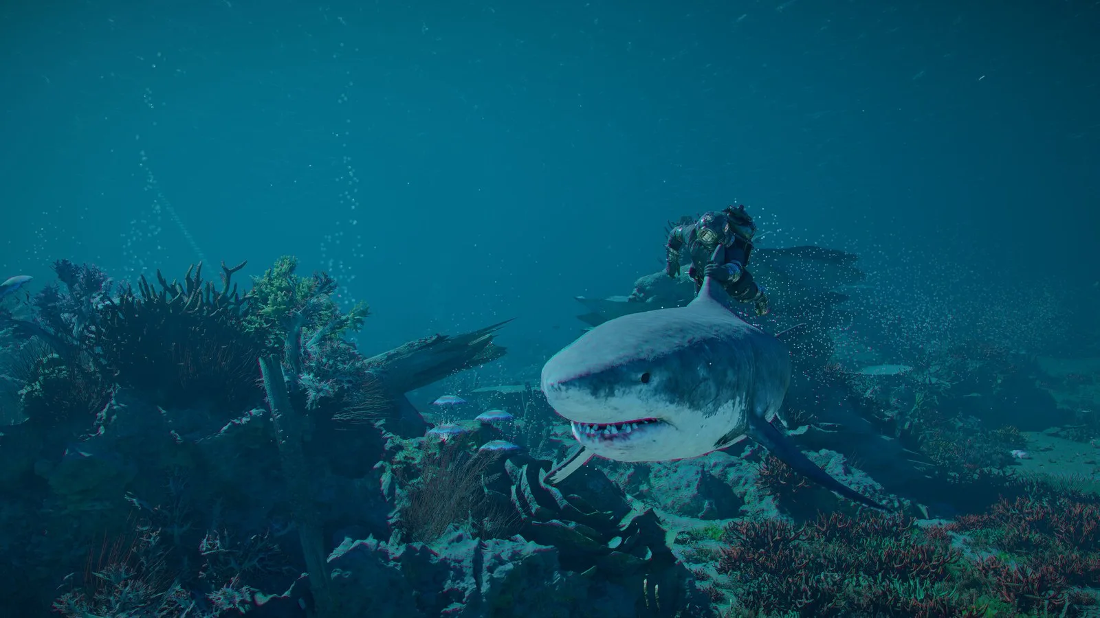 Crimson Desert DLC - Shark