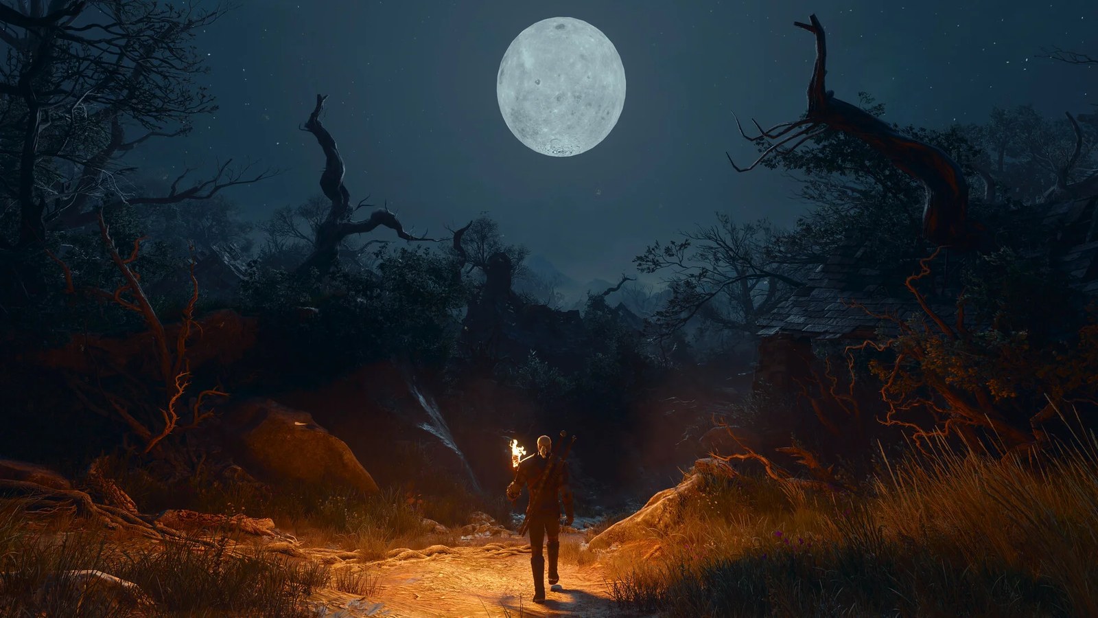Geralt exploring Letten in at night in The Witcher 3's Songs of the Past expansion.