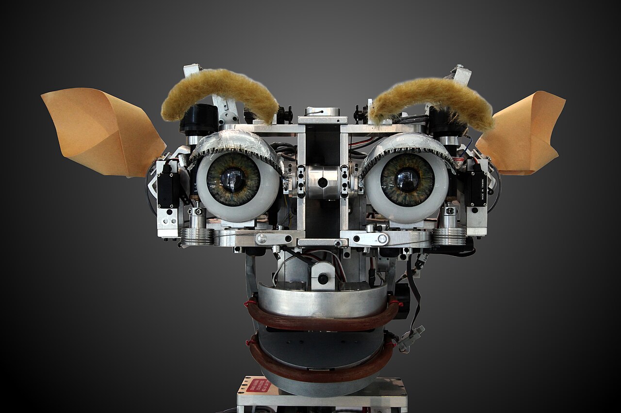 Kismet, a robot head made in the 1990s, is a machine that can recognise and simulate emotions.[69]